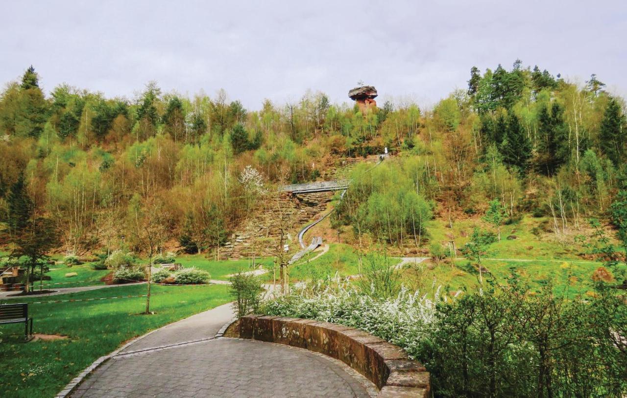 Beautiful apartment in Hinterweidenthal with 2 Bedrooms&WiFi Exterior foto